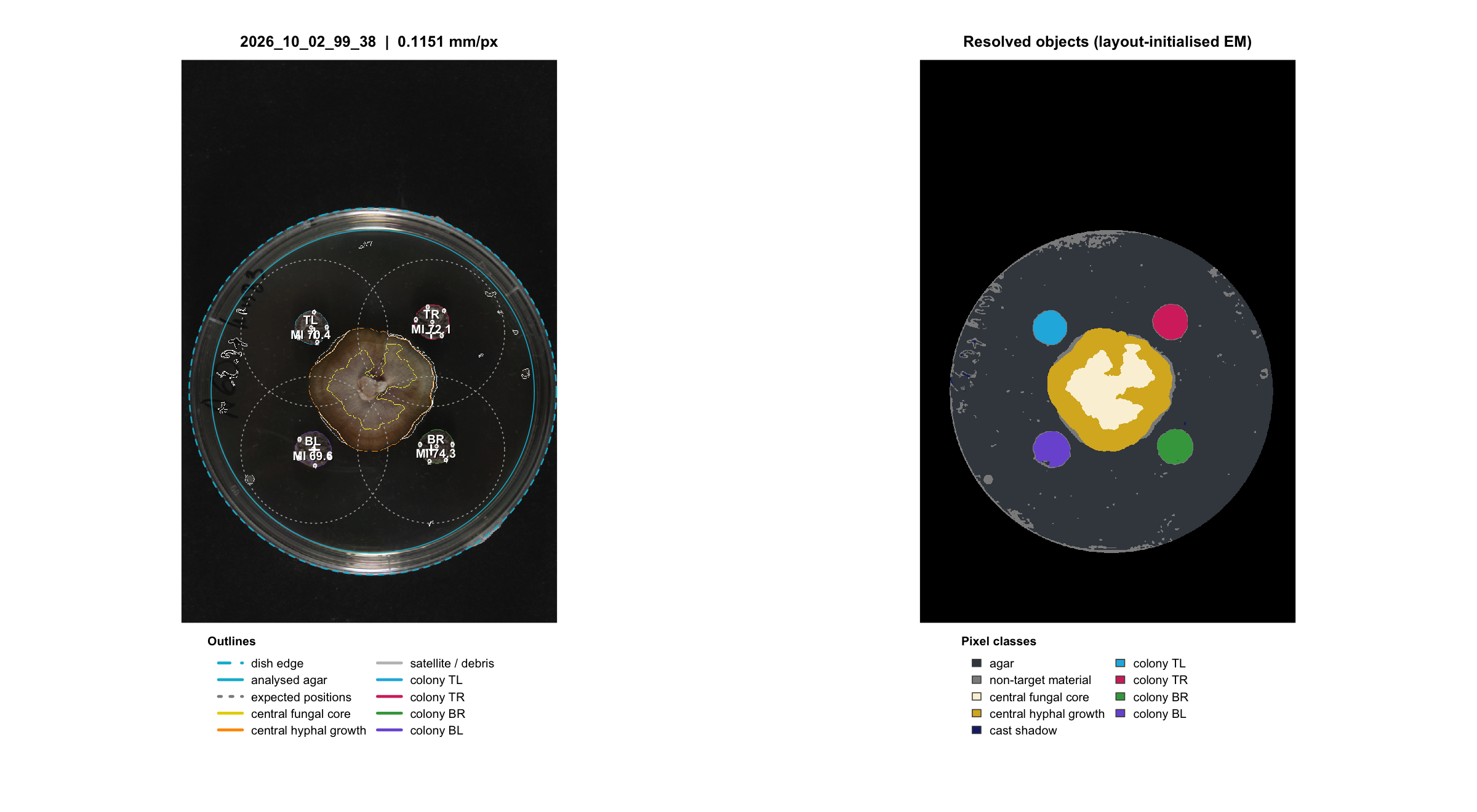 Example QC: a confrontation plate and its own matching control. Inspect the target outlines, spot locations, central fungal tissue/hyphae and dish calibration on every image.