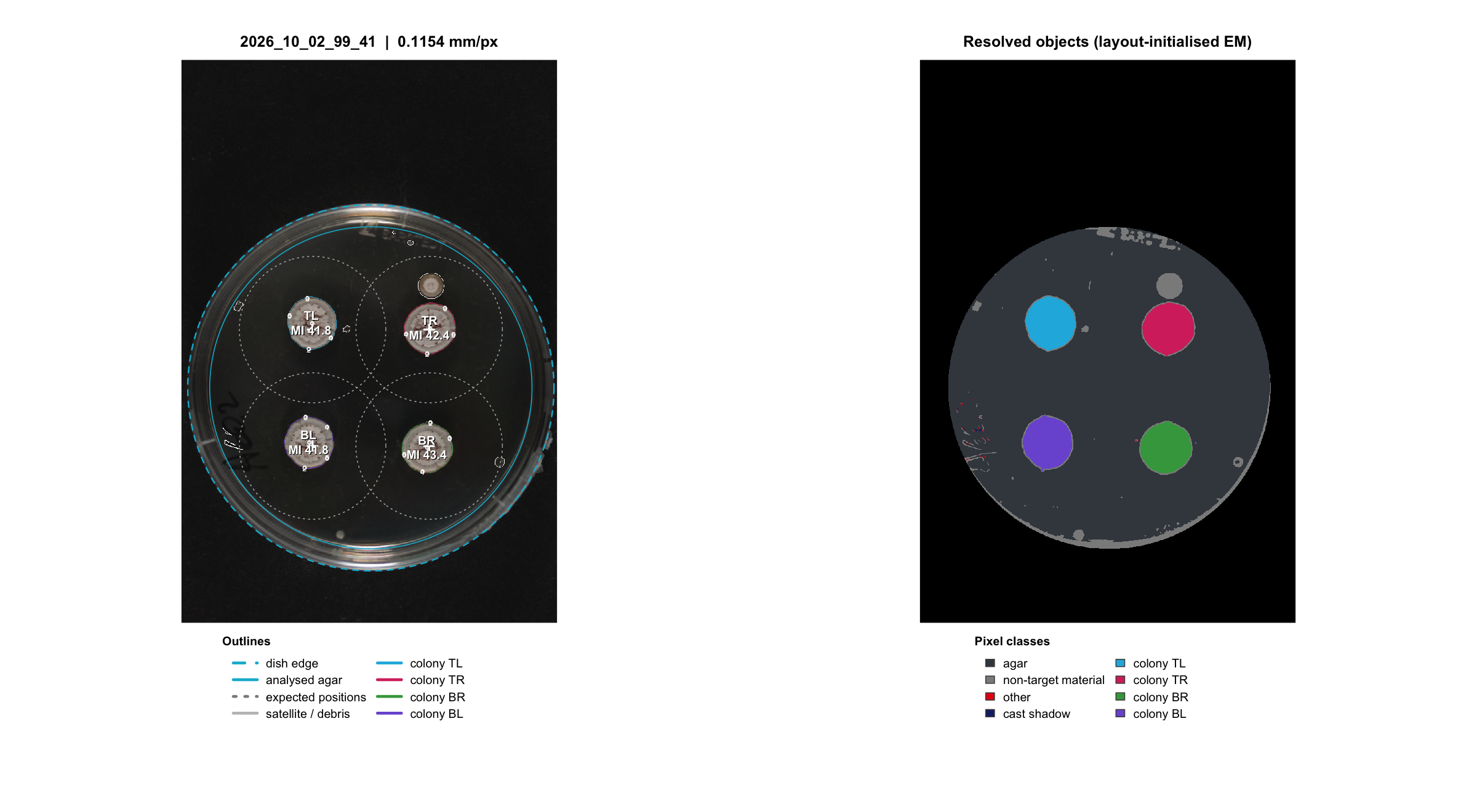 Example QC: a confrontation plate and its own matching control. Inspect the target outlines, spot locations, central fungal tissue/hyphae and dish calibration on every image.